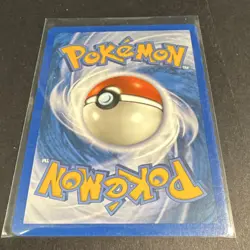 Pokemon Ursaring Skyridge 110/144 80 HP Common Regular 2003 E-Reader - Image 2