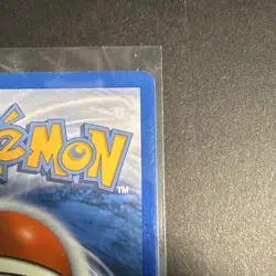 Pokemon Ursaring Skyridge 110/144 80 HP Common Regular 2003 E-Reader - Image 4