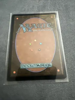 Splinter, Radical Rat Teenage Mutant Ninja Turtles 251 Regular - Image 2