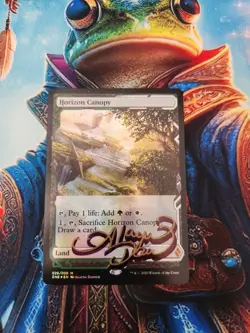 MTG Horizon Canopy - Zendikar Rising Expedition Foil - Signed By Artist, LP - Image 1