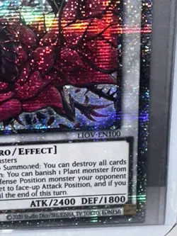 Yu-Gi-Oh! - Black Rose Dragon - Starlight Rare 1st Edition - Image 2