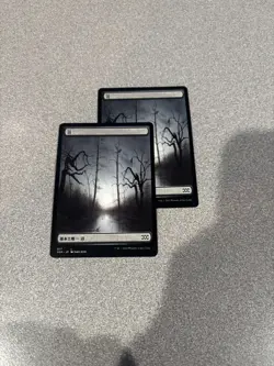 Magic: The Gathering - Foreign Full Art Land Lot - 19 Basic Lands & 4 Wastes - Image 2