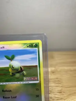 Turtwig 77/100 Common Reverse Holo Platinum Stamped 2008 Pokemon Card TCG 60 HP - Image 5