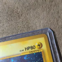 Pokemon TCG Raikou Awakening Legends Holo Rare 243 80 HP Japanese Basic - Image 4