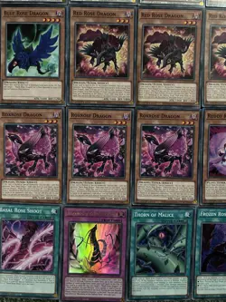 YuGiOh Black Rose Dragon Synchro Plant Deck & Secret Rare Chibi Token+Extra Deck - Image 5