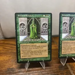 Ritual of Subdual Ice Age Regular LP x2 - Image 1