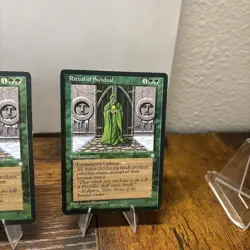 Ritual of Subdual Ice Age Regular LP x2 - Image 2