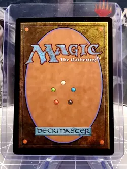 FOIL MTG Restless Prairie The Lost Caverns of Ixalan - LP - Image 2