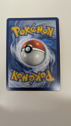 Raikou 050/185 | Vivid Voltage | Pokemon TCG | Amazing Rare Holo | NM - Image 2
