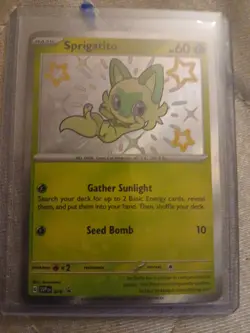Pokemon TCG Sprigatito SVP 076! NM Condition! See Description! - Image 1