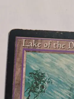 MTG Lake of the Dead Alliances 1996 Vintage Rare Land Lightly Played Magic CCG - Image 3