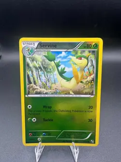 Servine - 3/114 - Black & White - Reverse Holo - Pokemon - LP - Image 1