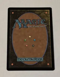 MTG Bedrock Tortoise - The Lost Caverns of Ixalan LP - Image 2