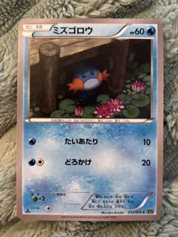 Mudkip XY5 012/070 Japanese Pokemon Card Aya Kusube Art - Image 1