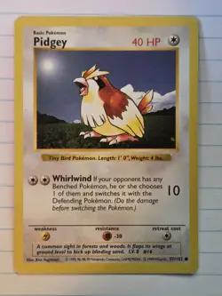 Pidgey (Shadowless) - 57/102 Base Set - WOTC - Pokemon TCG - LP - Image 1