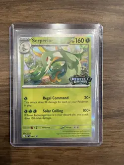 Perfect Order Staff Promo Cards Set Of 4 Pokemon TCG NM - Image 4