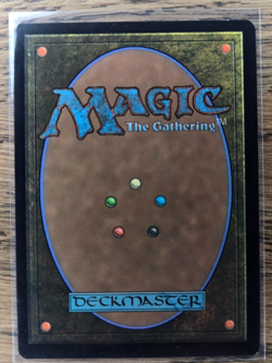 MTG TMNT April O'Neil, Hacktivist Showcase Foil card NM - 0282 - Image 2