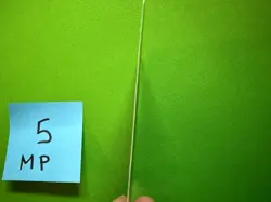 1x MP Taiga Revised MTG Magic the Gathering English #5 - Image 4