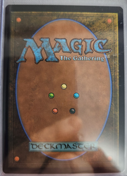 MTG - 2026 - Lorwyn Eclipsed - Twilight Diviner - Unplayed - Pack to sleeve - Image 2