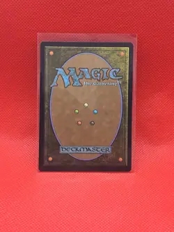 Misty Rainforest Zendikar Rising Expeditions Regular - Image 2