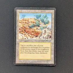 MTG \>> Diamond Valley (PL) <<// Arabian Nights - 341 Trading - Magic - Image 1