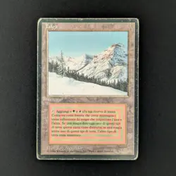 MTG \>> Taiga (PO) <<// Foreign Black Bordered - 341 Trading - Magic - Image 1