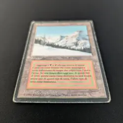 MTG \>> Taiga (PO) <<// Foreign Black Bordered - 341 Trading - Magic - Image 3