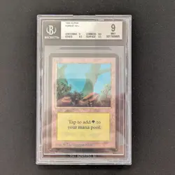 MTG \>> Forest (V.2) (BGS 9) <<// Alpha - 341 Trading - Magic - Image 1