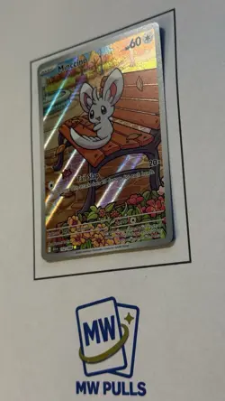 Pokemon Minccino 152/086 Sv: Black Bolt Illustration Rare Full Art Holo TCG - Image 3