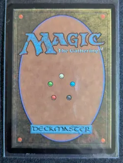 Saprazzan Skerry - FOIL - Mercadian Masques - NM - MTG - Magic the Gathering - Image 2