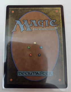 MTG, Birds of Paradise (Borderless) Dominaria Remastered Regular NM - Image 2