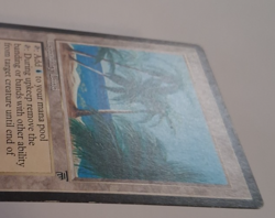 Tolaria MP Legends MTG Magic the Gathering - Image 3