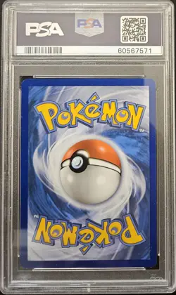 PSA 8 NM-MT Cinccino SWSH009 Black Star Promos Stamped Prerelease Holo Pokemon - Image 2