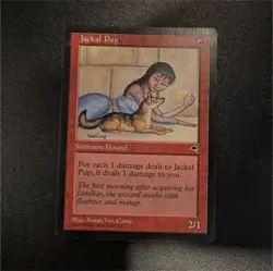 Magic The Gathering Jackal Pup Uncommon Creature Red Tempest Susan Van Camp - Image 1