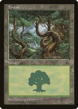 20 Basic Land - SAME ART - Forest - Portal Second Age - MP-NM - Magic MTG FTG - Image 1