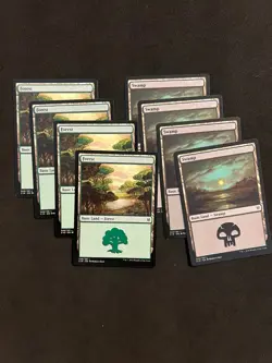 Swamp + Forest #343/#349 [C16] Magic MTG Cards LP - Image 1