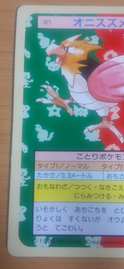 Pokemon Card Japanese Top sun Spearow 1995 vintage from Japan - Image 3