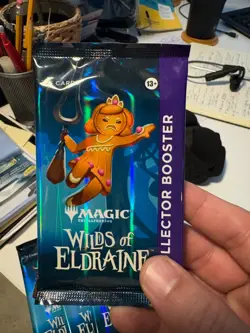 Wilds of Eldraine - Sealed Collector Booster Pack - MTG - WOE - English - Image 4