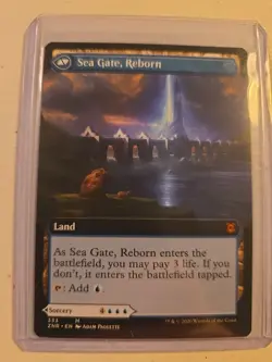 Sea Gate Restoration Mtg - Image 2