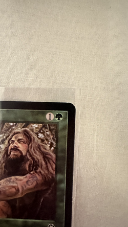 Hermit druid- English - MTG - Stronghold- (LP-NM) *see Pictures - Image 4