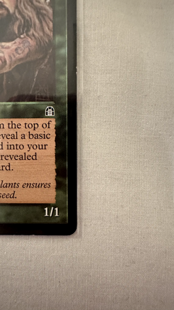 Hermit druid- English - MTG - Stronghold- (LP-NM) *see Pictures - Image 5