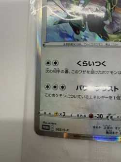 Pokemon Card 2019 Rayquaza 003/S-P Promo Sealed Holo 2 card in a Pack Japanese - Image 2