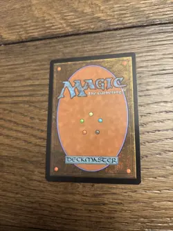 Patron Wizard Odyssey Regular - Image 2