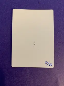 MTG Magic Sandsteppe Citadel FOIL Signed Artist Proof X1 Khans Of Tarkir Burley - Image 2