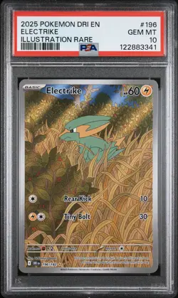 2025 POKEMON DRI EN-DESTINED RIVALS ILLUSTRATION RARE #196 ELECTRIKE PSA 10 - Image 1