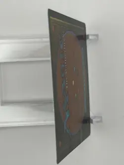 Magic: The Gathering - Bayou [Revised Edition] #283 - Image 5