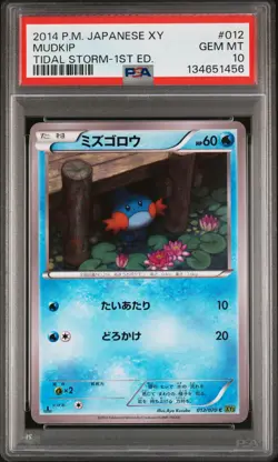 2014 POKEMON JPN XY TIDAL STORM 1ST ED #012 MUDKIP PSA 10 - Image 1