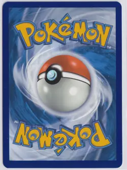 Pokemon Wartortle 171/165 Sv: Scarlet & Violet 151 IR Illustration Rare - Image 2