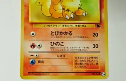 Pokemon card Growlithe No.058 Intro Pack Squirtle Deck 26 Old Back Japanese MP - Image 3