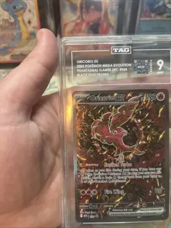 Pokemon Oricorio ex 024 Mega Evolution Black Star Promo TAG Mint 9 - Image 2
